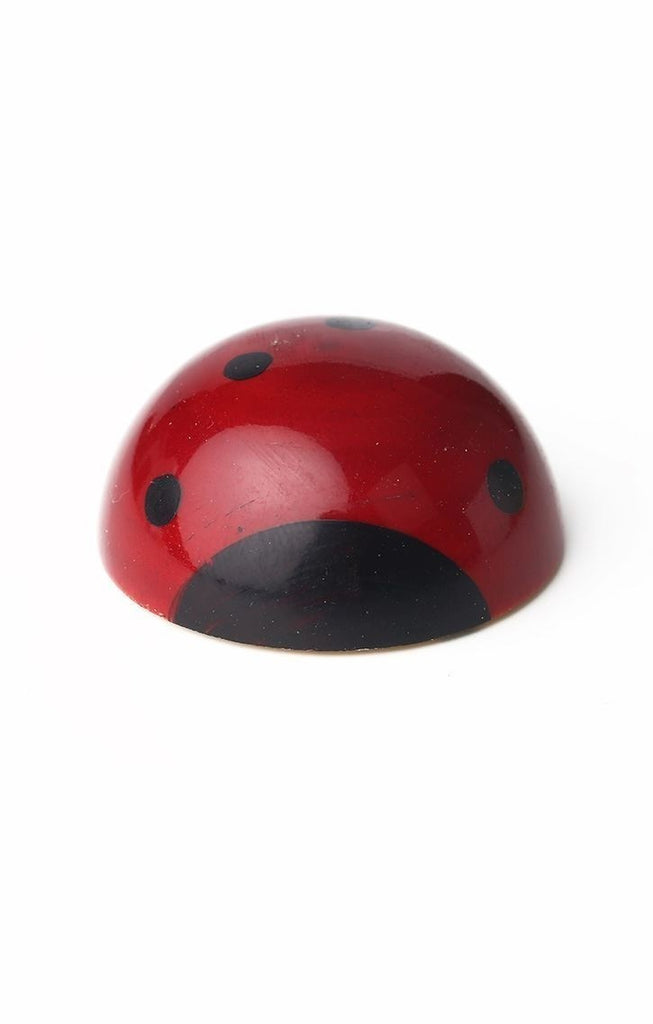 Fridge Magnet- Ladybug